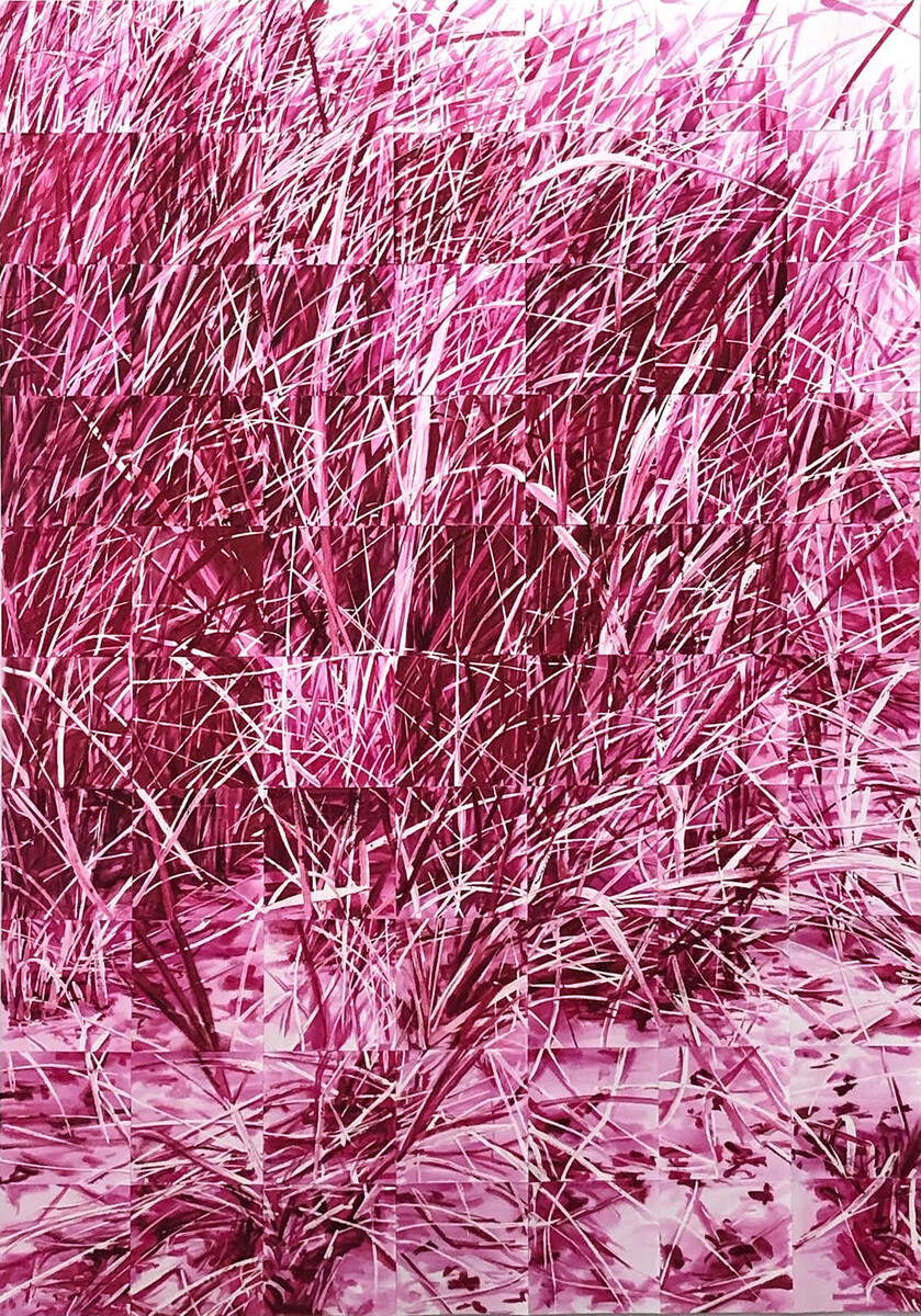 Rodrigo Zamora; Untitled (tall grass); 2022