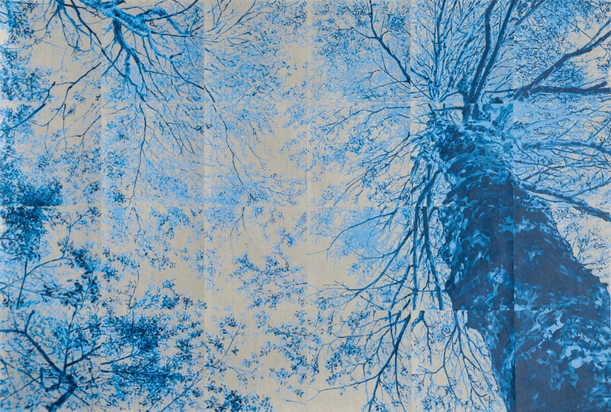 Rodrigo Zamora; Blue Vertigo 7; 2026