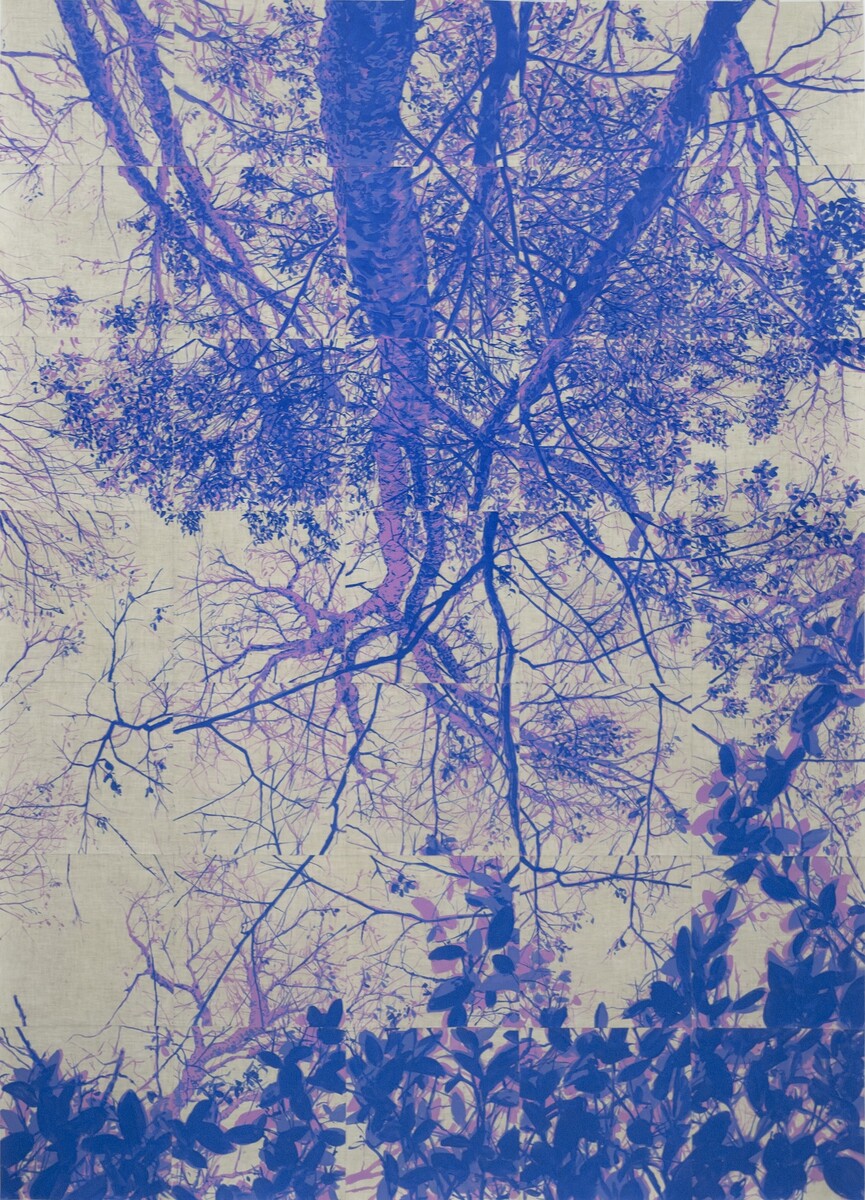 Rodrigo Zamora; Blue Vertigo 5; 2026