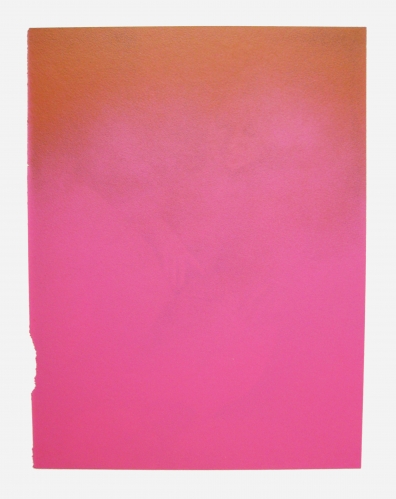 Adam Gondek; Brown Pink Nude; 2012