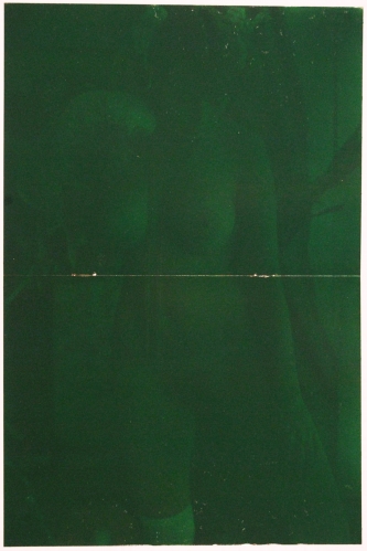 Adam Gondek; Green Nude; 2012