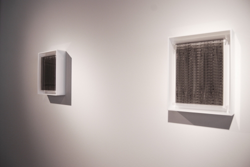 Gustavo Díaz; Sin Titulo 1 and Sin Titulo 3; 2011