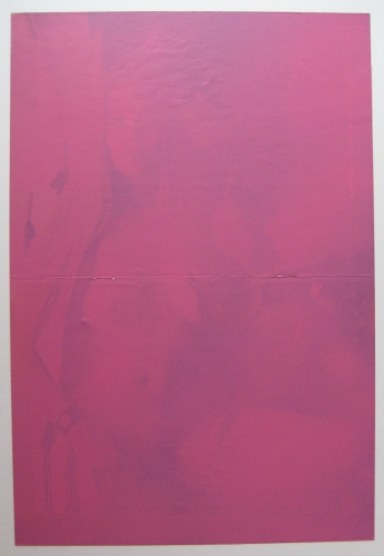 Adam Gondek; Pink Nude ; 2012