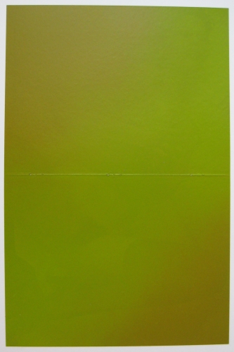 Adam Gondek; Mustard Green Nude; 2012