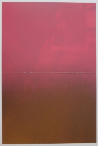Adam Gondek; Pink Gold Nude; 2012