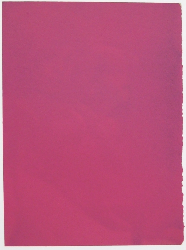 Adam Gondek; Pink Nude; 2012