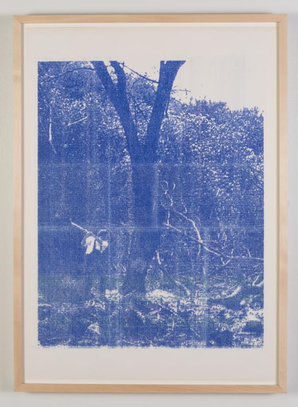 Jerry Martin; Indented landscape 1-117 (blue tree); 2013