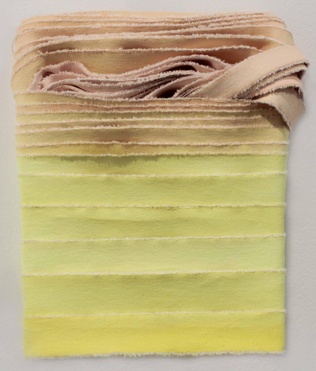 Jean Alexander Frater; Salmon to Yellow; 2016